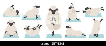 Collection de poses de yoga de mouton. Ensemble animaux de ferme. Conception plate. Illustration vectorielle Illustration de Vecteur