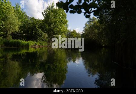 Italie, les splendides eaux vertes profondes de la rivière Livenza Banque D'Images