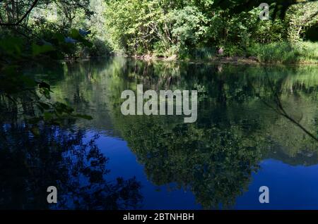 Italie, les splendides eaux vertes profondes de la rivière Livenza Banque D'Images