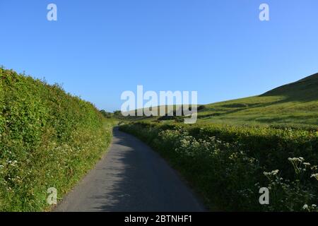 La route de campagne à la fin du printemps, entre Oborne et Poyntington, Sherborne, Dorset, Angleterre Banque D'Images