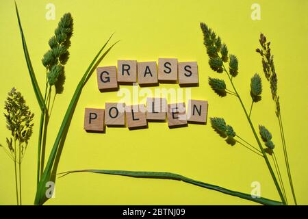 Rhume des foins, mots en lettres de l'alphabet en bois avec des herbes vertes fraîches isolées sur fond vert Banque D'Images