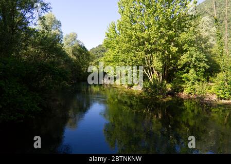 Italie, les splendides eaux vertes profondes de la rivière Livenza Banque D'Images