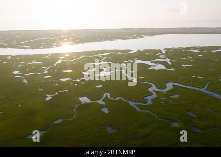 Des canaux étroits serpentent à travers un marais salé sur Cape Cod, Massachusetts. Cette péninsule de la Nouvelle-Angleterre abrite d'importants habitats pour les oiseaux migrateurs Banque D'Images