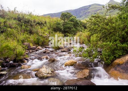 Un ruisseau Sterkspruit exceptionnellement plein dans la réserve naturelle de Monks Cowl, dans le Drakensberg Afrique du Sud photographié avec une vitesse d'obturation lente Banque D'Images