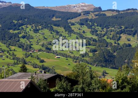 Les maisons résidentielles parmi les arbres sont situées dans la belle vallée alpine, visible depuis Grindelwald Banque D'Images