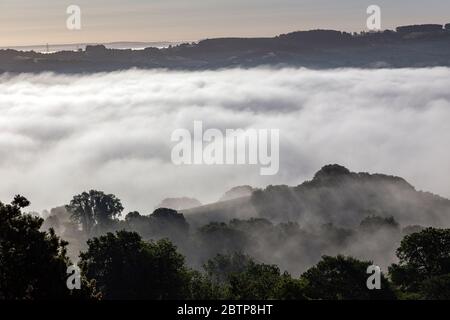 Vallée Teign,Dartmoor,,vue de Dartmoor vers l'exe de rivière - ciel, Cloudscape, Environnement, conservation de l'environnement, brouillard, forêt, arbre, Royaume-Uni, vallée, Banque D'Images