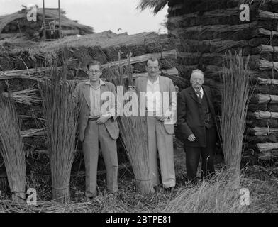 Farmans , trois générations . 19 août 1937 le patching de roseau à Norfolk. M. R. W. Farman, de North Walsham, le dernier représentant de travail d'une ancienne famille de thatching de roseaux de Norfolk. Banque D'Images