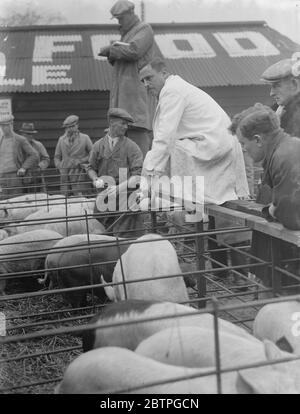 Personnalités du marché . 1936 Banque D'Images