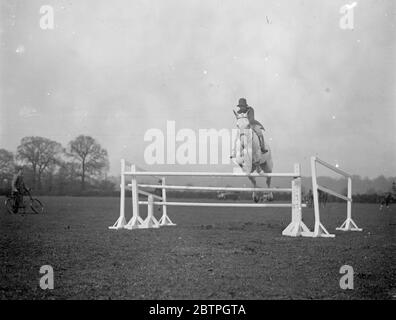 Préparation du Club équestre Gymkhana . Mlle Patricia Powell sur Rufus faire un saut fin sur Ham Common où elle prépare pour le Club équestre Gymkhana . 6 mai 1932 Banque D'Images
