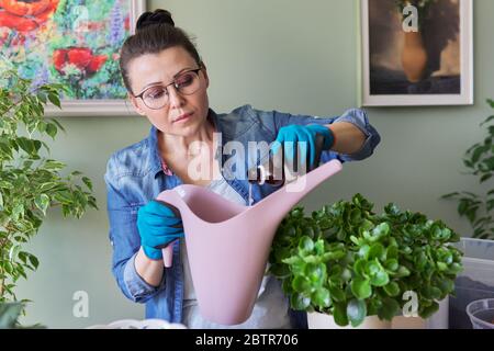 Femme verse de l'engrais minéral liquide, dans la bouteille d'arrosage avec de l'eau Banque D'Images