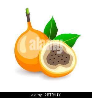 Granadillas mûrs avec feuilles isolées sur blanc. Délicieux fruits, illustration vectorielle de style plat. Mets sucrés Illustration de Vecteur