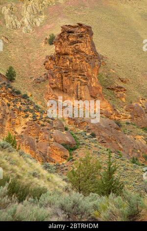 Falaises de Dago Gulch, zone d'étude de la nature sauvage du Haut-Leslie Gulch, région de Leslie Gulch préoccupante pour l'environnement, Oregon Banque D'Images