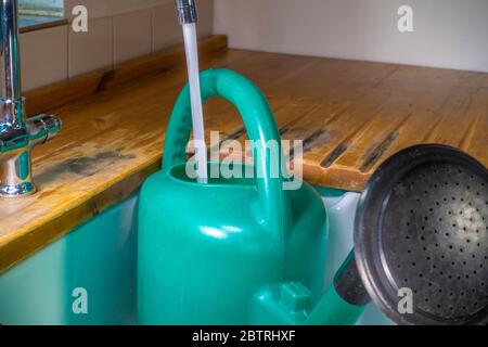 Un arrosoir de jardin en plastique vert avec accessoire de pulvérisation, rempli d'eau d'un robinet courant sur un évier de cuisine blanc, dans un plan de travail en pin. Banque D'Images