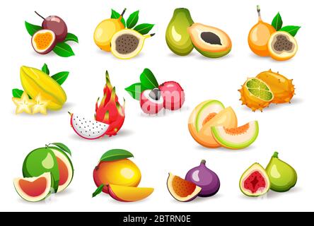 Ensemble de fruits exotiques divers isolés sur fond blanc, illustrations vectorielles plates. Plats végétariens Illustration de Vecteur