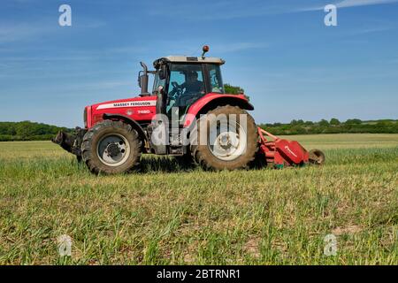 Tracteur Massey Ferguson 7480 Dyna-VT rouge et faucheuse à fléaux Kverneland pour tondre ou gramer de l'herbe dans un champ Banque D'Images