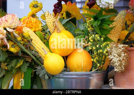 Intérieur confortable de la maison d'automne avec caisse de citrouilles d'époque. Récolte d'automne à la ferme. Banque D'Images