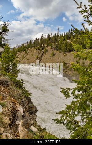 BANFF, Alberta, CANADA - JUIN 2018 : les gorges et les chutes de la rivière Bow à Banff. Banque D'Images