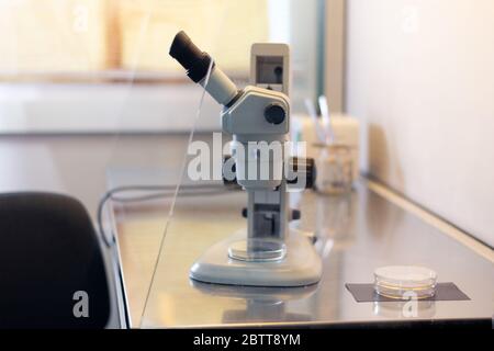 Microscope stéréo à l'intérieur d'une armoire à flux laminaire utilisée pour la culture tissulaire dans des boîtes de Petri à des fins de recherche en laboratoire Banque D'Images