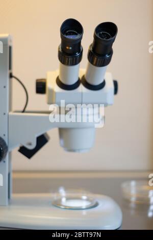 Microscope stéréo à l'intérieur d'une armoire à flux laminaire utilisée pour la culture tissulaire dans des boîtes de Petri à des fins de recherche en laboratoire Banque D'Images