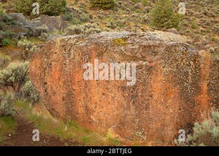 Pétroglyphes, réserve naturelle nationale de Malheur, Oregon Banque D'Images