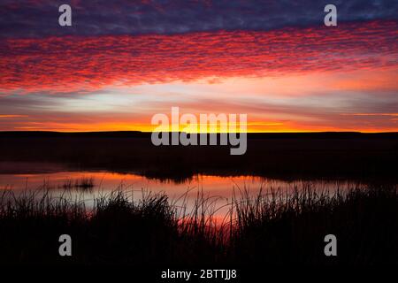 Otter Pond Sunrise, réserve naturelle nationale de Malheur, Oregon Banque D'Images