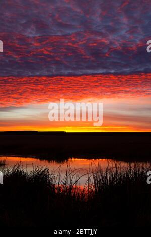 Otter Pond Sunrise, réserve naturelle nationale de Malheur, Oregon Banque D'Images