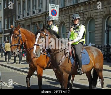 Deux officiers de police féminins sur chevaux à l'extérieur de Downing Street à Londres Banque D'Images