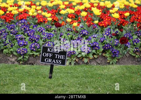Gardez le panneau herbe - gros plan avec les fleurs en arrière-plan Banque D'Images