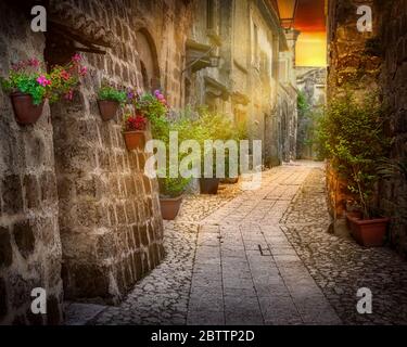 Les rayons du soleil réchauffent les maisons en pierre et les fleurs dans une rue de Casertavecchia, en Italie. Banque D'Images