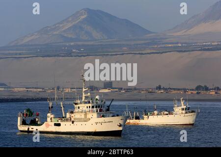 Bateaux de pêche, Port de Salaverry, Pérou, Amérique du Sud Banque D'Images