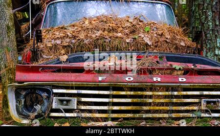Vieux Ford couvert en Pinestraw Banque D'Images