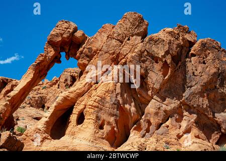 NV00119-00...NEVADA - UN élément de grès patiné connu sous le nom de Elephant Rock dans le parc national de la Vallée de feu. Banque D'Images