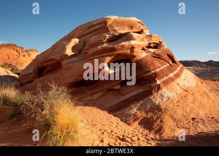 NV00145-00....NEVADA - un dôme érodé à la formation de la vague de feu dans le parc national de la Vallée de feu. Banque D'Images