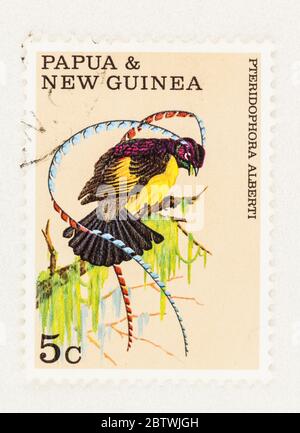 SEATTLE WASHINGTON - 25 mai 2020 : gros plan de l'oiseau de paradis du roi de Saxe sur la Papouasie et la Nouvelle Guinée. Scott # 301 Banque D'Images