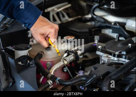 main du technicien qui vérifie le niveau d'huile sur la jauge dans un moteur de voiture Banque D'Images