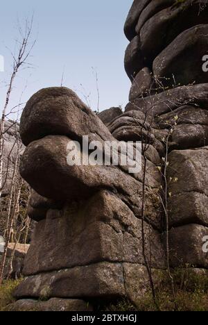 Dans les montagnes Harz, Allemagne Banque D'Images