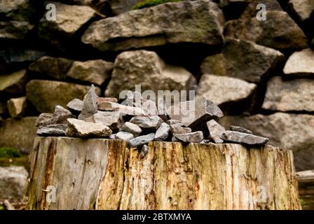 Dans les montagnes Harz, Allemagne Banque D'Images