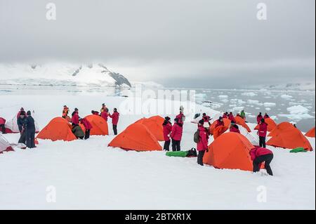 Les touristes campent sur la rive à Paradise Harbour, Antarctique Banque D'Images