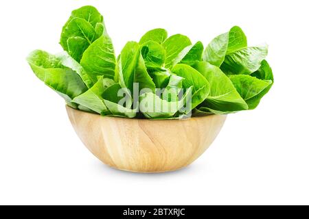 Laitue romaine biologique crue ou cocos verts dans un bol en bois sur fond blanc isolé, chemin de coupure. Les cocas frais ont un goût sucré et croustillant, deli Banque D'Images