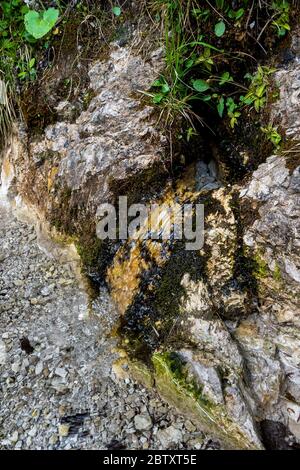 L'eau claire et douce coule de Mountain Spring vers River Banque D'Images