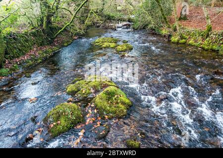 La rivière Lyd près de Lydford, en amont de la gorge de Lydford, parc national de Dartmoor, Devon, Angleterre, Royaume-Uni. Banque D'Images