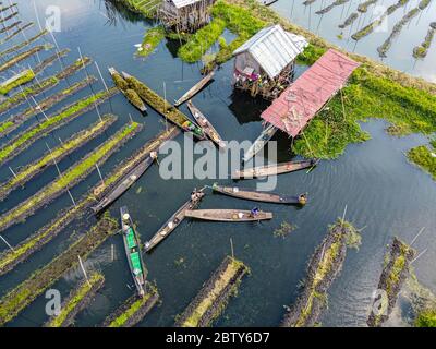 Aérien par drone de canoës dans les jardins flottants, lac Inle, état Shan, Myanmar (Birmanie), Asie Banque D'Images
