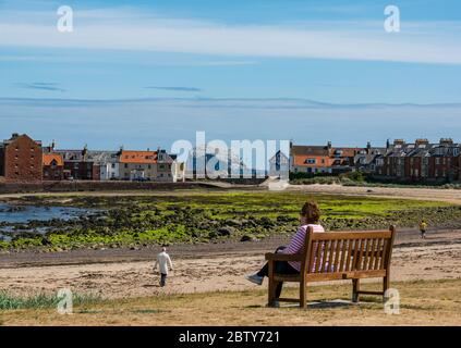 North Berwick, East Lothian, Écosse, Royaume-Uni, 28 mai 2020. Assouplissement des restrictions de verrouillage : le gouvernement écossais étant sur le point d'annoncer la levée de certaines restrictions de verrouillage aujourd'hui, des signes indiquent déjà que les choses commencent à revenir à la normale dans la populaire station balnéaire. Une femme est assise sur un banc pour admirer la vue sur la baie et se détendre par temps chaud. La colonie de gantet de Bass Rock est visible à l'horizon Banque D'Images