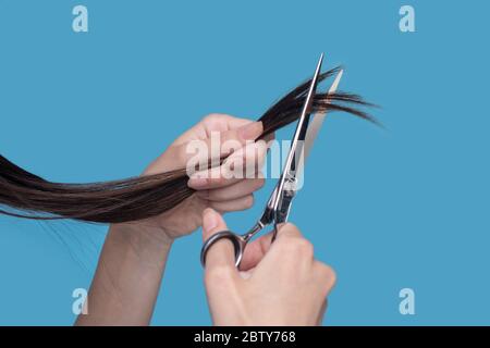 Gros plan sur les mains des femmes qui coupent les cheveux Banque D'Images