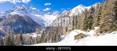 Paysage d'hiver après la neige avec vue sur le groupe de Disgrazia, Chiareggio, Valmalenco, Valtellina, Lombardie, Italie, Europe Banque D'Images