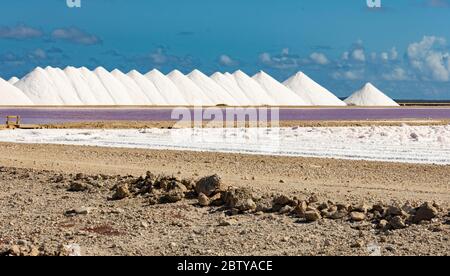 Piles de sel à côté de grandes casseroles de sel, Bonaire, îles ABC, Antilles néerlandaises, Caraïbes, Amérique centrale Banque D'Images