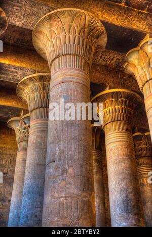 Bas-reliefs, colonnes, salle Hypostyle, Temple de Khnum, Esna, Égypte, Afrique du Nord, Afrique Banque D'Images