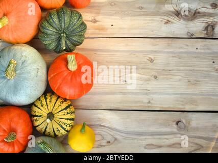 Citrouilles et courges sur les planches de bois. Automne fond Banque D'Images