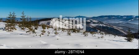 Vue depuis la colline Magura Wislaska dans les montagnes Beskid Slaski en Pologne pendant une journée d'hiver incroyable avec un ciel clair Banque D'Images