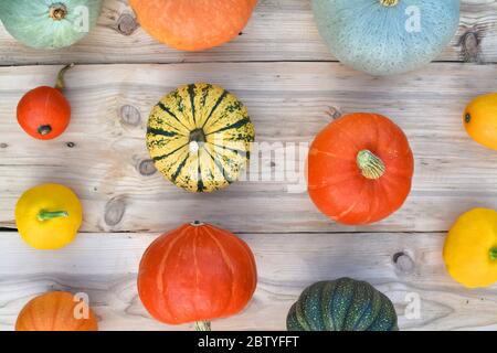 Citrouilles et cendres sur bois. Arrière-plan d'automne Banque D'Images